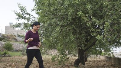 The seed library intends to save seeds and maintain traditional forms of agriculture which could be lost, while educating young Palestinians about their agricultural heritage.