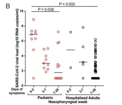 Children (pediatric on graph) were found to have significantly higher coronavirus loads than severely ill adults with Covid-19, making them more infectious. Courtesy: Massachusetts General Hospital and MassGeneral Hospital for Children