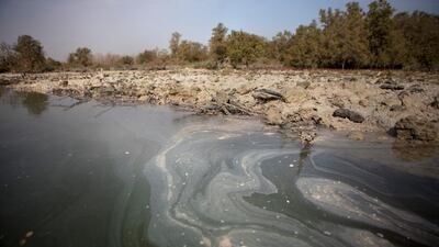 A mixture of natural sediment and industrial pollutants speckles the water with lined patterns in the Eastern Mangroves near the East Road. (Silvia Razgova/The National)