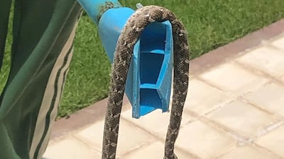 Pest controllers have been called in by residents like Jamal Guergour, who are seeing desert snakes in their properties. They have blamed the lack of a boundary wall for the community. Courtesy: Jamal Guergour