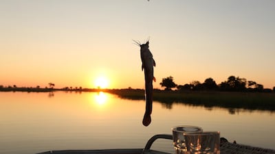 Harry caught a sharped-toothed catfish as he and Meghan shared a joke, one onlooker said. Reuters