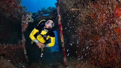 A diver since 2009, Abusunnon began photographing the marine life of the Red Sea five years ago