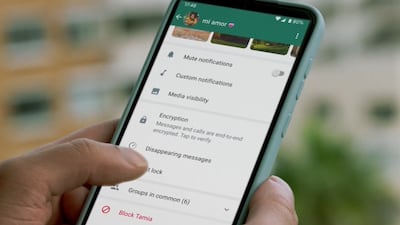 The new feature from WhatsApp will help users protect some of their private chats. Meta / Screenshot