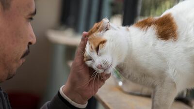 Saber has worked in the animal welfare sphere for 15 years. EPA