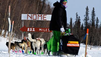 Signs point toward Nome, Alaska, 852 miles away, as Ryan Redington leaves the Finger Lake, Alaska, checkpoint during the Iditarod. AP
