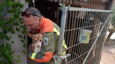 A Community of Madrid forest ranger rescues a dog from a house evacuated due to the San Martin de Valdeiglesias wildfire. AFP