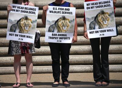 A protest in Washington demanding the US take action for the death of Cecil the lion. Getty Images