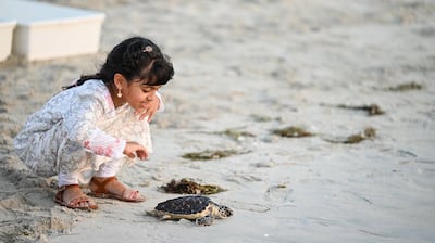 Dr Al Dhaheri said turtle numbers have risen by about 30 per cent in the emirate. Photo: Wam