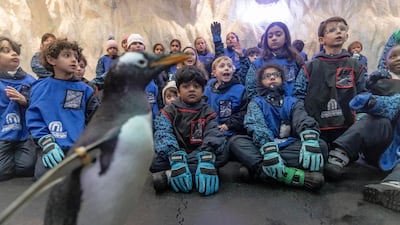 A penguin attends the Ski Dubai Summer Camp for children at Mall Of The Emirates, Dubai. Antonie Robertson/The National