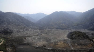 Algeria has arrested 22 people suspected of being behind the wildfires.