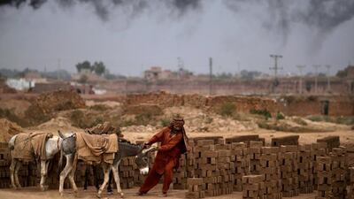 Pakistani brick factory worker pulls a donkey laden with bricks on the outskirts of Islamabad. Muhammed Muheisen / AP Photo