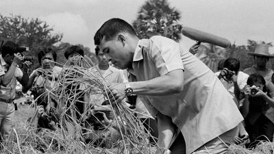 Maha Vajiralongkorn harvests rice in Suphan Buri province, near Bangkok in 1986. AFP