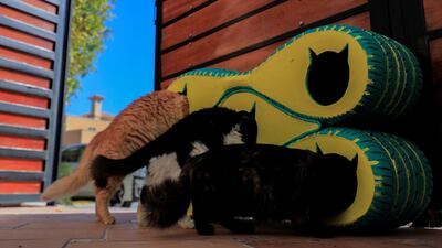 They are made of recycled tyres