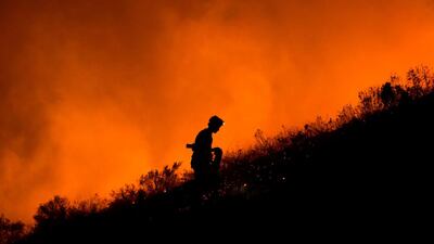 Volunteers and local residents use wet towels to fight one front of a large brush fire that started around the mountains in the city centre on January 27, 2019, in Cape Town. AFP