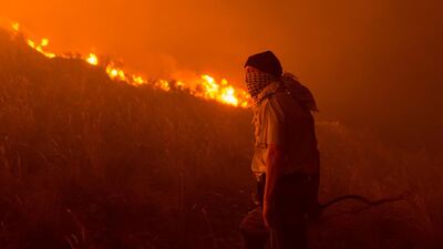 Volunteers and local residents use wet towels to fight one front of a large brush fire that started around the mountains in the city centre on January 27, 2019, in Cape Town. AFP