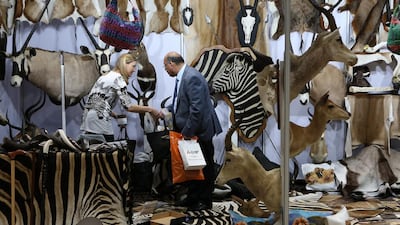 Animal skins on display at the Highveld Taxidermists stand.