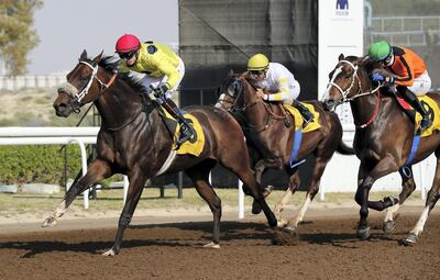 Adam Mclean guides Native Appeal to victory in Jebel Ali. Pawan Singh / The National