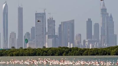 A tenth of the emirate's total land area is to be dedicated to nature conservation by 2014.