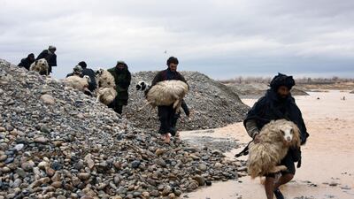 Afghan villagers carry sheep along a flood affected area in Arghandab district of Kandahar province. AFP