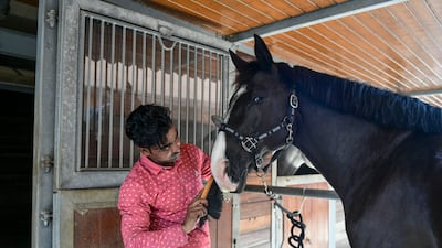 Grooming time for the horses. The camp also teaches children stable management skills