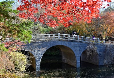 Bulguksa i slocated in Gyeongju, the capital of Korea’s Silla Kingdom for nearly 1,000 years up to the 10th century AD. Courtesy Ronan O'Connell