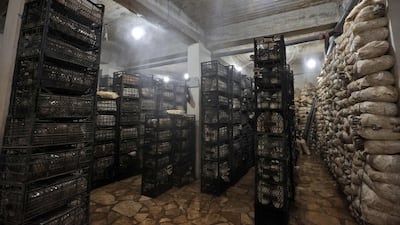 The produce is stacked in crates.