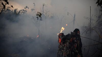 A tree stump glows with fire amid smoke along the road to Jacunda National Forest, near the city of Porto Velho in the Vila Nova Samuel region which is part of Brazil's Amazon, Monday, Aug. 26, 2019. The Group of Seven nations on Monday pledged tens of millions of dollars to help Amazon countries fight raging wildfires, even as Brazilian President Jair Bolsonaro accused rich countries of treating the region like a "colony." (AP Photo/Eraldo Peres)