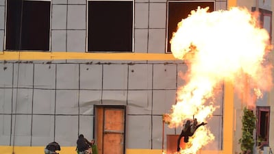 The military display took place late on Wednesday. SPA via Reuters