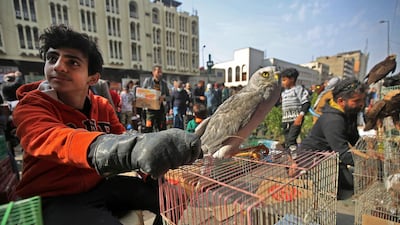 An Iraqi holds a falcon at the Ghazl Market in central Baghdad November 2020. AFP