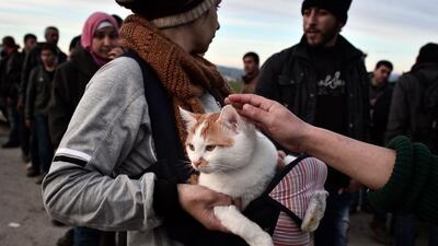 A Syrian woman with her cat, which she brought with her from Syria to the makeshift camp at the Greek-Macedonia border, near the village of Idomeni. Louisa Gouliamaki / AFP