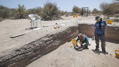 This 7,000-year-old site on Dalma Island has yielded evidence that the tradition of pearl diving is much older than we thought in this region. Mona Al Marzooqi / The National