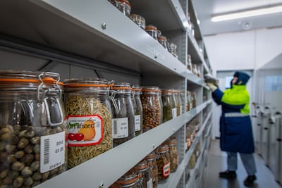 The Millennium Seed Bank at Kew has helped categorise thousands of specimens. RBG Kew
