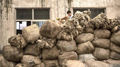 Above, large bags of sheep’s wool imported from Australia before being processed and bleached at a factory near Zhangzhou. Many of the leading Chinese textile companies use large quantities of Australian Merino wool in their production. Kevin Frayer / Getty Images