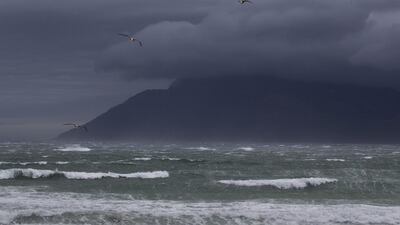 Gulls fly into a gale-force north-westerly wind in Cape Town. Nic Bothma / EPA