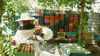 Rising temperatures, a decrease in rain and frequent dust storms have affected the honey industry