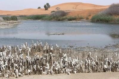 The artificial lake is a popular beauty spot but its future is now uncertain as it suffers dwindling water levels. Ruel Pableo for The National