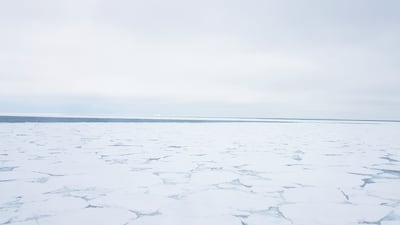 Ice in the Lazarev Sea, Antarctica, during spring 2019. A distant iceberg can be seen on the horizon.