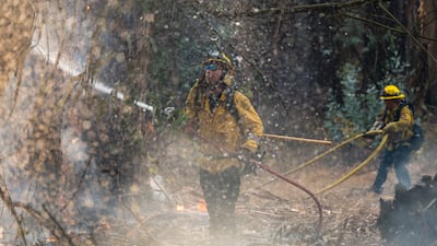 About 200 firefighters were battling the blaze, which officials said was burning at a moderate speed, fuelled by acres of eucalyptus trees. AP