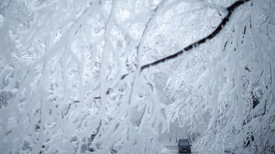 2. Escape to snow-covered Tbilisi in Georgia this winter. Reuters