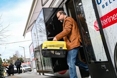 A man takes a stray cat inside a box from the Vetbus. AFP