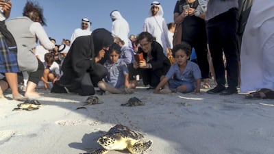 ABU DHABI, UNITED ARAB EMIRATES. 24 APRIL 2019. Turtle release at the Jumeirah at Saadiyat Island Resort. (Photo: Antonie Robertson/The National) Journalist: None. Section: National.