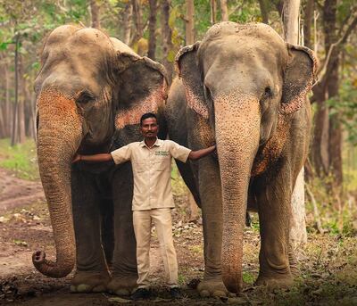 Some of the elephants that live at the Vantara reserve, a private zoo owned by Anant Amabani in Jamnagar, Gujarat. Photo: Vantara