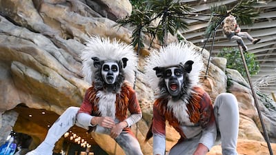 The performers do four shows a day at the marine life theme park