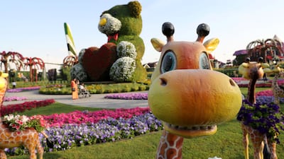 Dubai Miracle Garden will reopen for its tenth season in November. Chris Whiteoak / The National