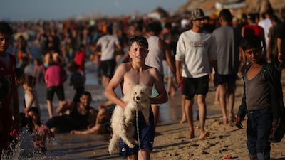A Gazan boy with his dog on a beach in the embattled enclave. Pets have helped Palestinians to cope amid the war. AFP