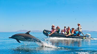 Baja California aboard the National Geographic Sea Bird, April 2012. Sven-Olof Lindblad / Lindblad Expeditions - National Geographic