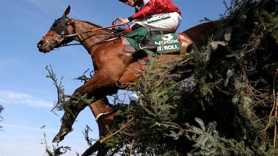 Tiger Roll, ridden by Davy Russell, won the Grand National Handicap Chase last year. Reuters