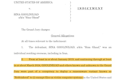 Although he is unlikely to face the maximum penalty, the US Justice Department says Sina Gholinejad could face up to 30 years in prison.