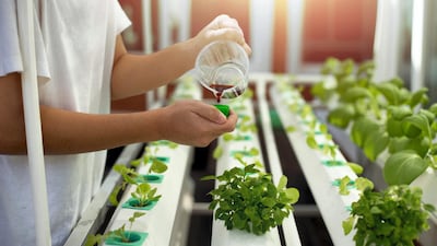 A competition was held in the UAE this week for entrepreneurs looking to revolutionise agricultural technology. Courtesy: FoodTech Challenge