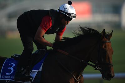 Economic Model is the horse to beat in the Godolphin Mile. Tom Dulat / Getty Images